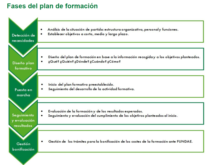 infografia con las fases del plan
