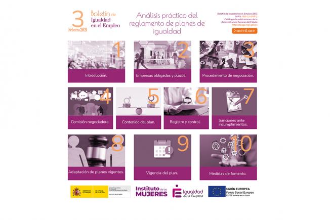 varios cuadros con imagen i título debajo explicando los diferentes apartados del análisis práctico del reglamento de Planes de Igualdad de 